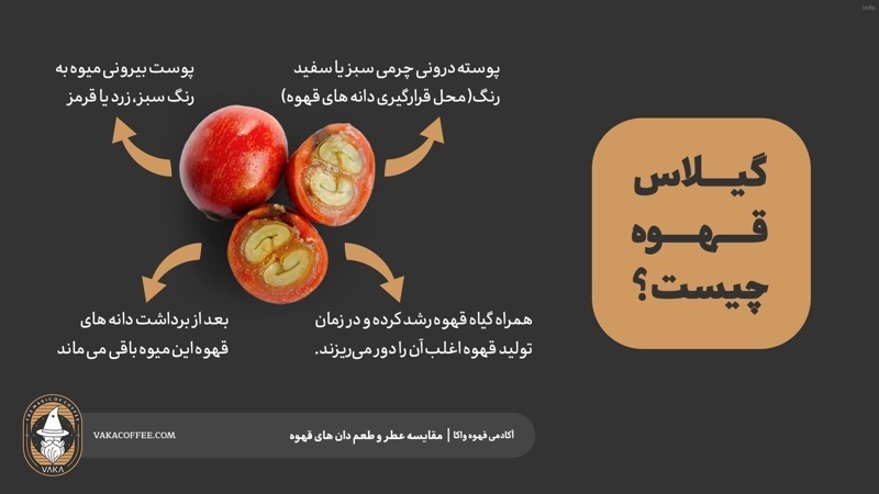 خواص خوردن گیلاس برای پوست_8