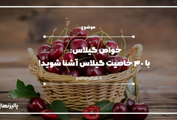 خواص درمانی گیلاس در طب سنتی_9