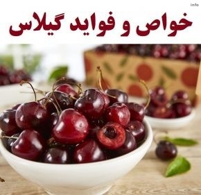 خواص دم گیلاس برای لاغری_4
