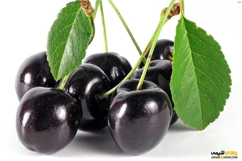 خواص دم گیلاس در طب سنتی_7