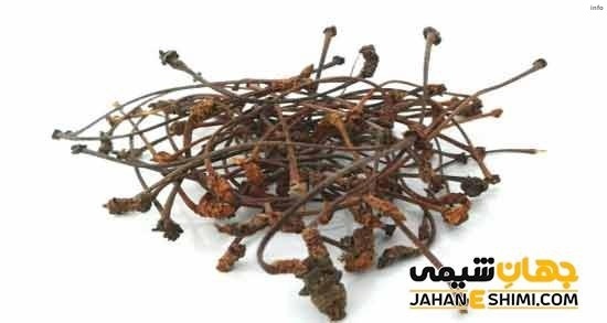 خواص دمنوش هسته گیلاس_2