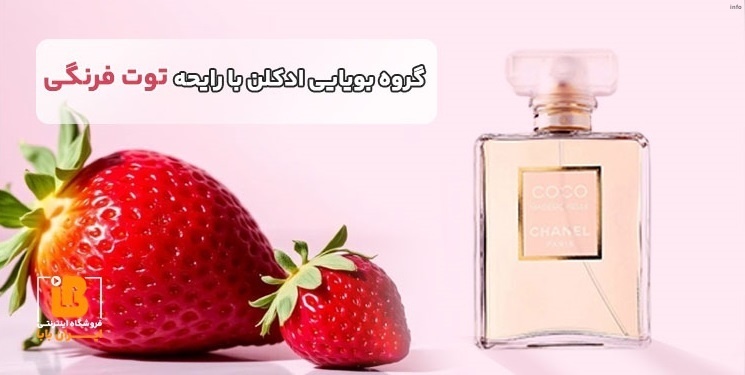 خواص رایحه توت فرنگی_5