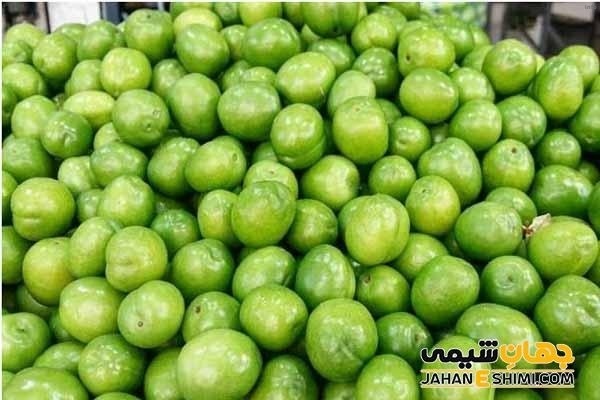 خواص رب گوجه سبز_4
