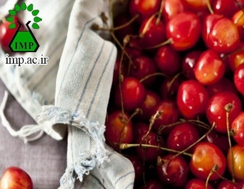 خواص روغن هسته گیلاس_2