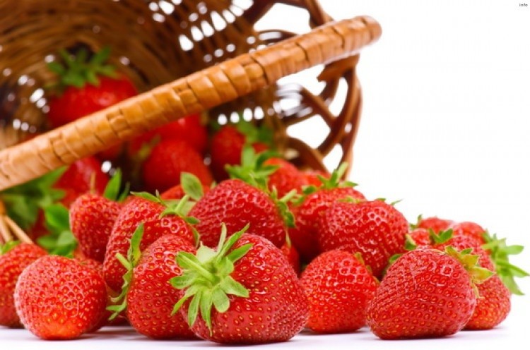 خواص ریشه توت فرنگی_4