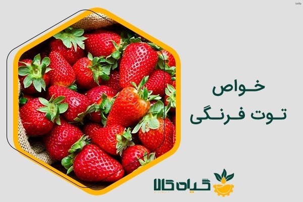 خواص ریشه توت فرنگی_6