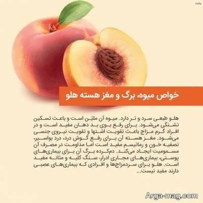 خواص زردالو گیلاس_7