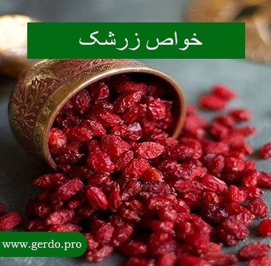 خواص زرشک البالو_7
