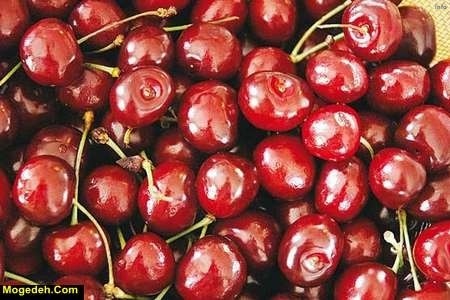 خواص صمغ آلبالو_10
