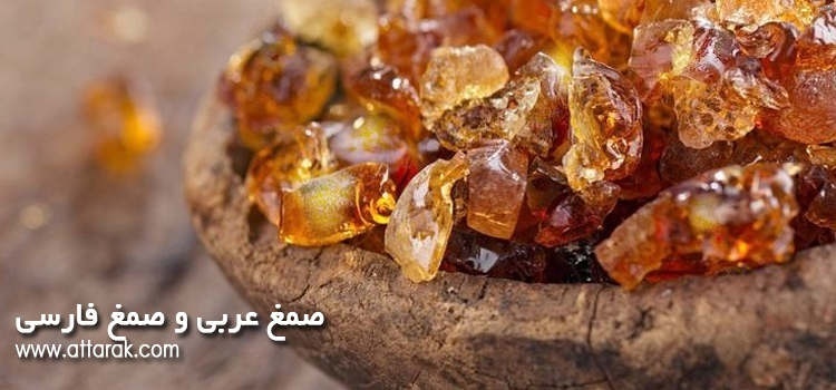 خواص صمغ آلبالو_6