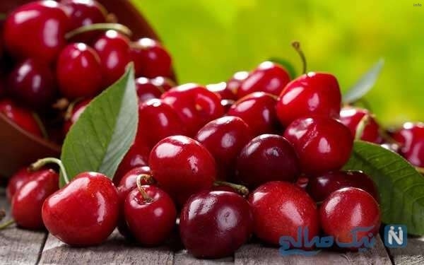 خواص صمغ آلبالو_8
