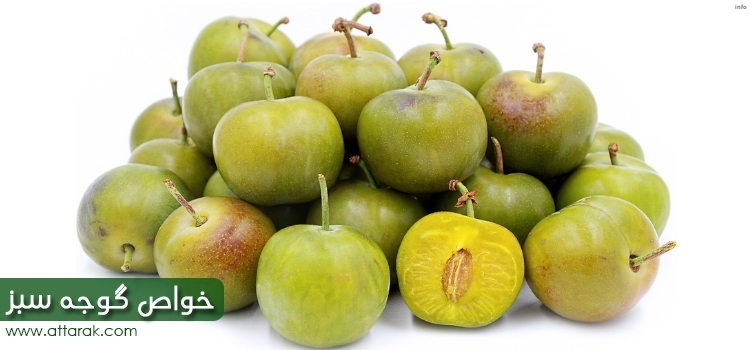 خواص صمغ درخت گوجه سبز_6