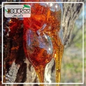 خواص صمغ درخت گوجه سبز_7