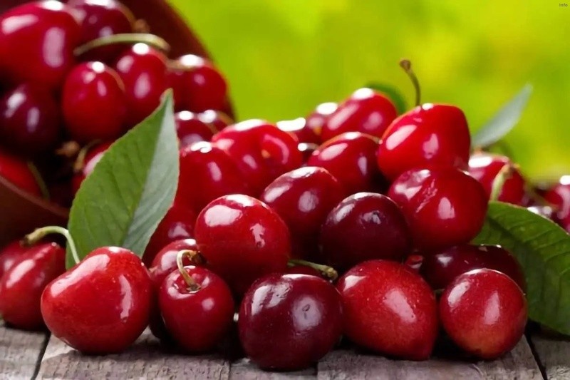 خواص عرق آلبالو_10