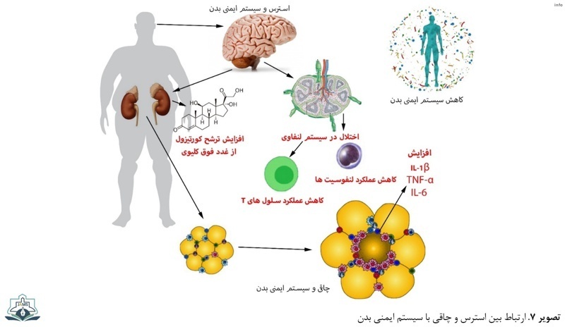 زمان ویروس کرونا_6