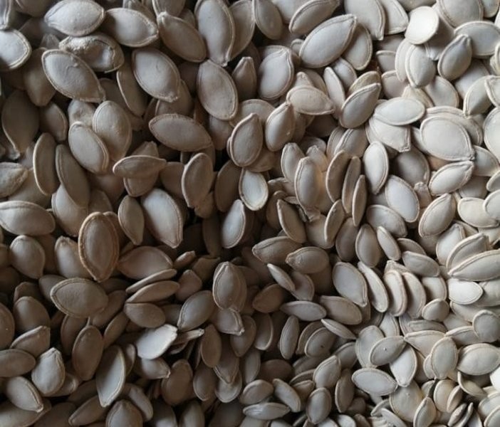 مغز تخمه کدو عمده_2