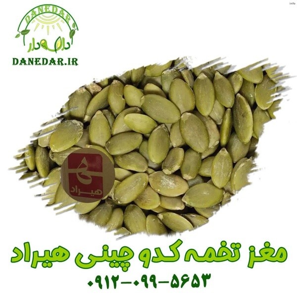 مغز تخمه کدو عمده_4