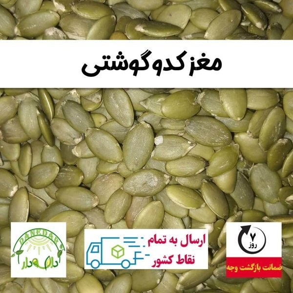 مغز تخمه کدو عمده_5