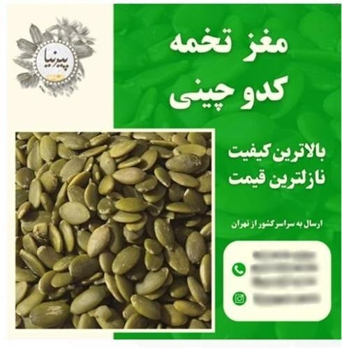 مغز تخمه کدو عمده_8