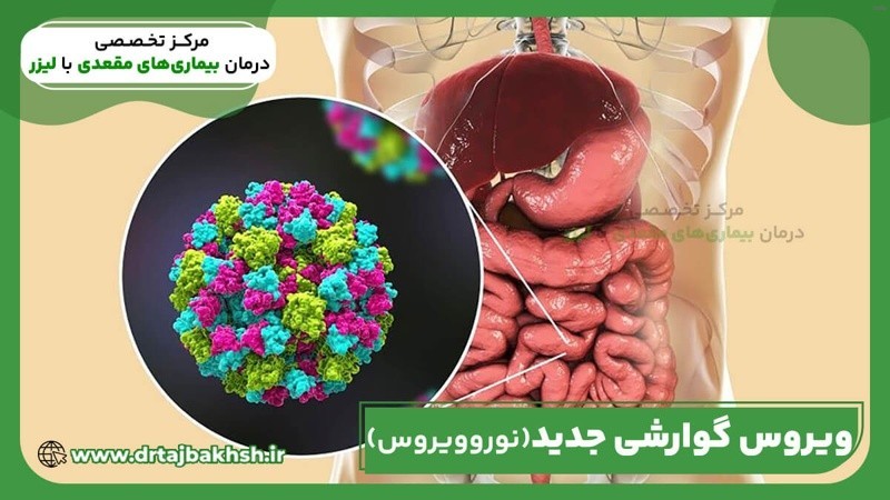 ویروس جدید کرونا اسهال و استفراغ_7