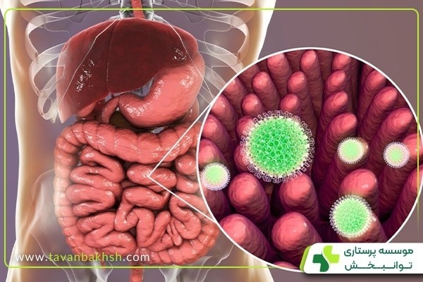 ویروس جدید کرونا گوارشی_9