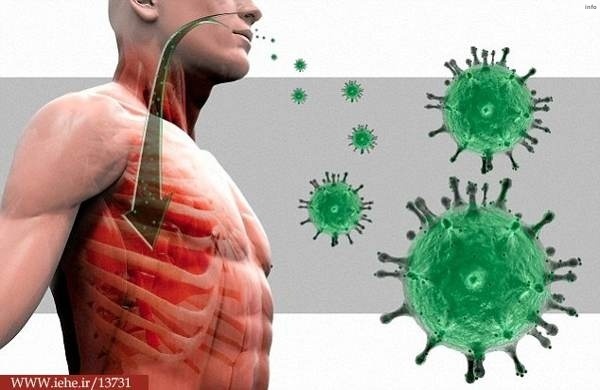 ویروس شبه کرونا چیست_6