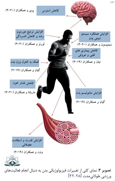 ویروس کرونا با بدن چه میکند_7