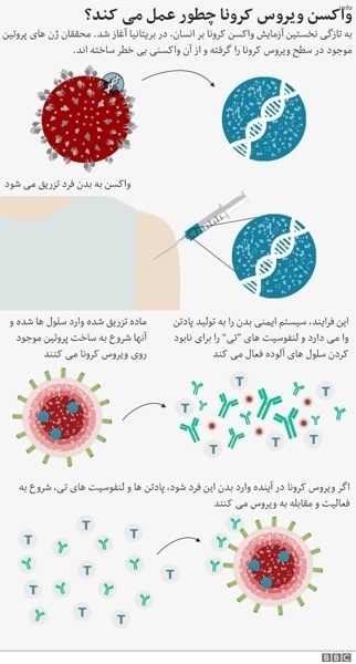 ویروس کرونا چه سالی شروع شد_6