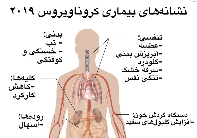 ویروس کرونا چه سالی شروع شد_2