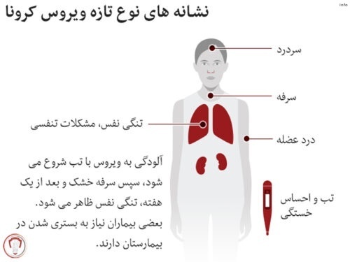 پیدایش ویروس کرونا_7