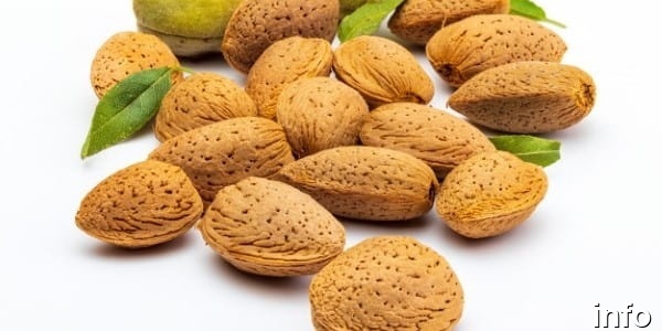 بادام زمینی روکش دار شیراز_4