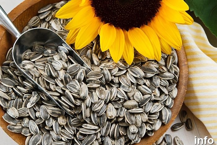 تخمه آفتابگردان برای کلیه ضرر دارد_10