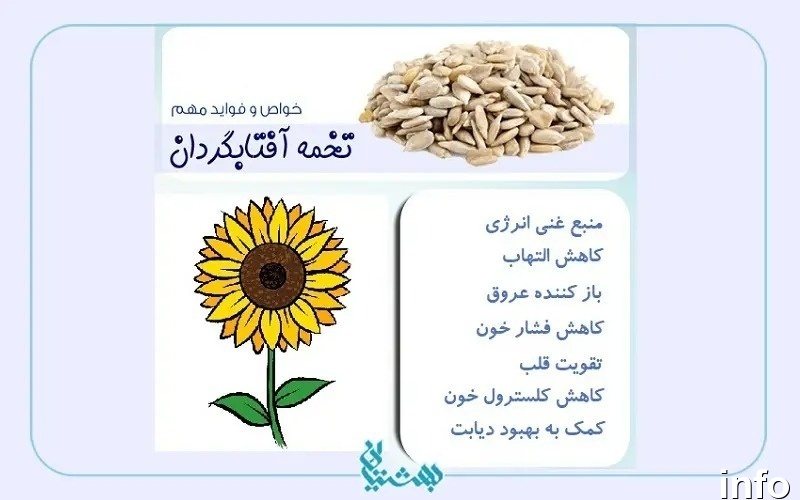 تخمه آفتابگردان برای کلیه ضرر دارد_5