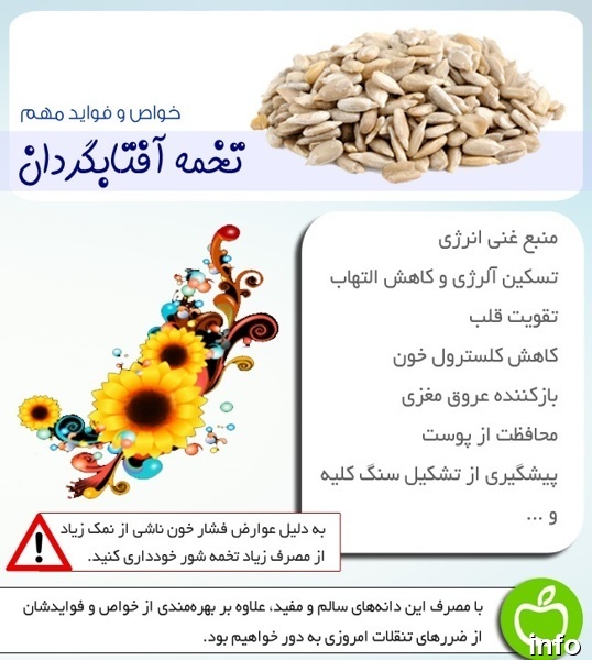 تخمه آفتابگردان برای کلیه ضرر دارد_7