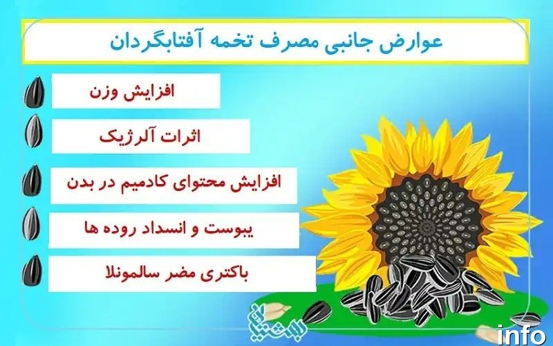 تخمه آفتابگردان برای یبوست_4