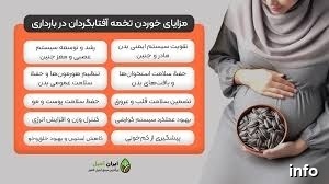 تخمه آفتابگردان بعد از غذا_1
