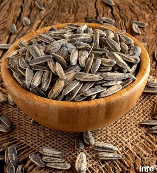 تخمه آفتابگردان تعبیر خواب_10