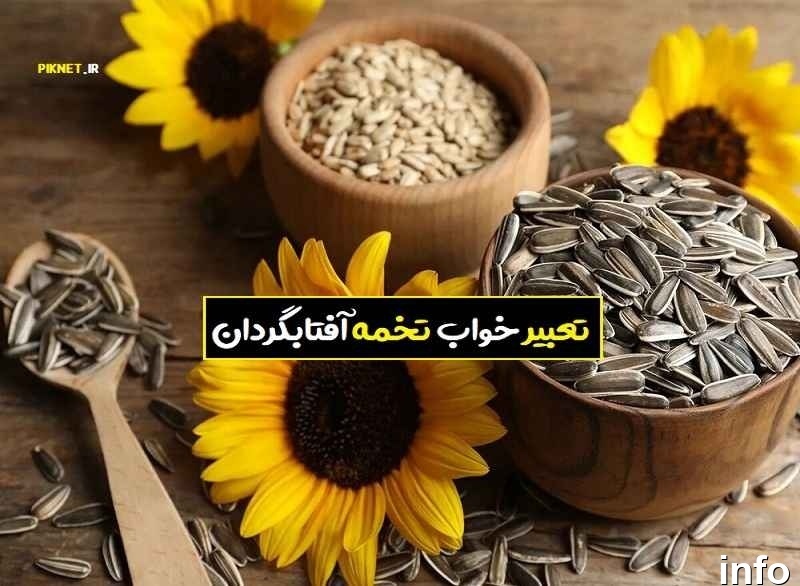 تخمه آفتابگردان تعبیر خواب_4