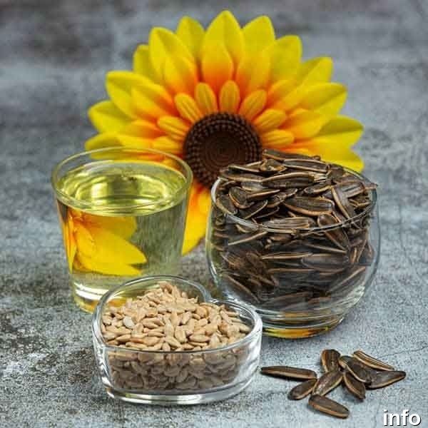 تخمه آفتابگردان تعبیر خواب_9