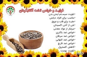 تخمه آفتابگردان جزو کدام گروه غذایی است_1