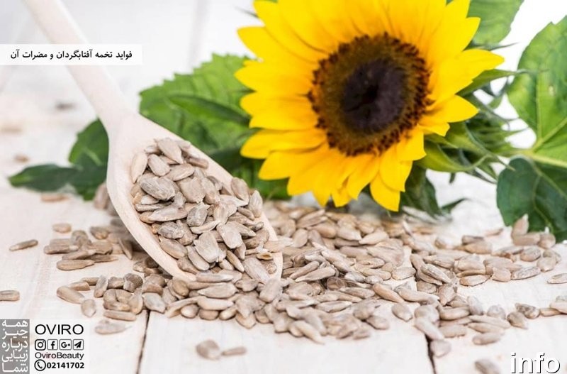 تخمه آفتابگردان حاوی چه ویتامینی است_10