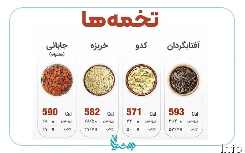 تخمه آفتابگردان حاوی چه ویتامینی است_2