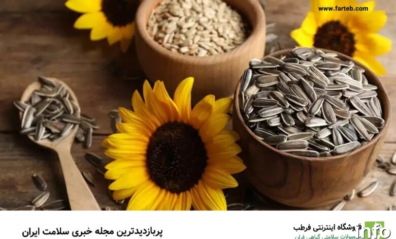 تخمه آفتابگردان حاوی چه ویتامینی است_5