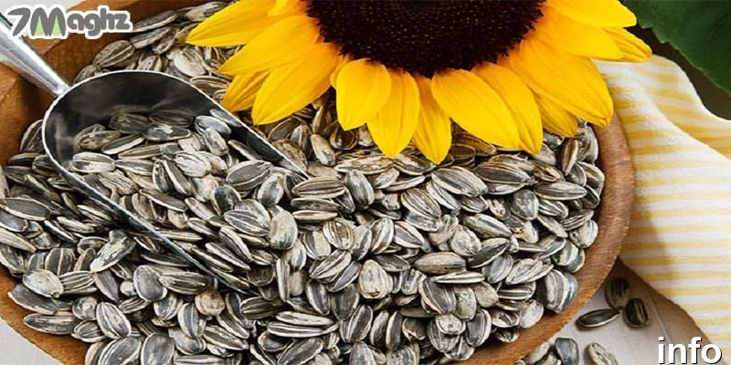 تخمه آفتابگردان حاوی چه ویتامینی است_9