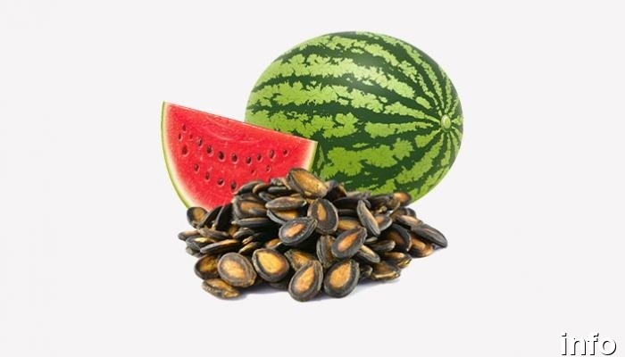 تخمه هندوانه چگونه تولید میشود_9