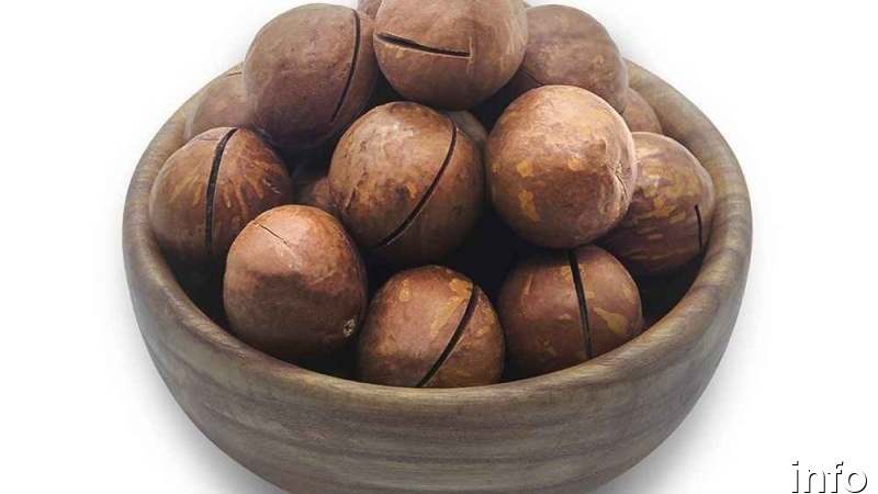 خرید انلاین ماکادمیا_5