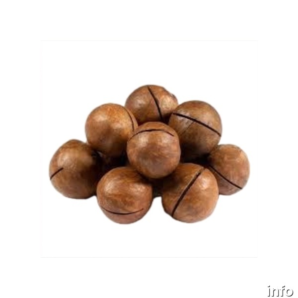 خرید دانه ماکادمیا_4