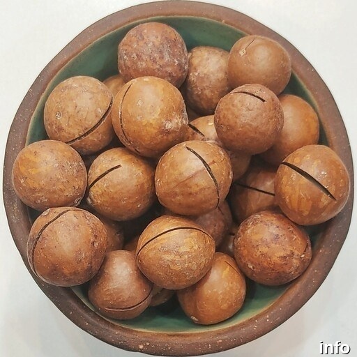 خرید عمده فندق ماکادمیا_10