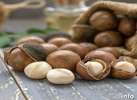 خرید فندق ماکادمیا اصفهان_2