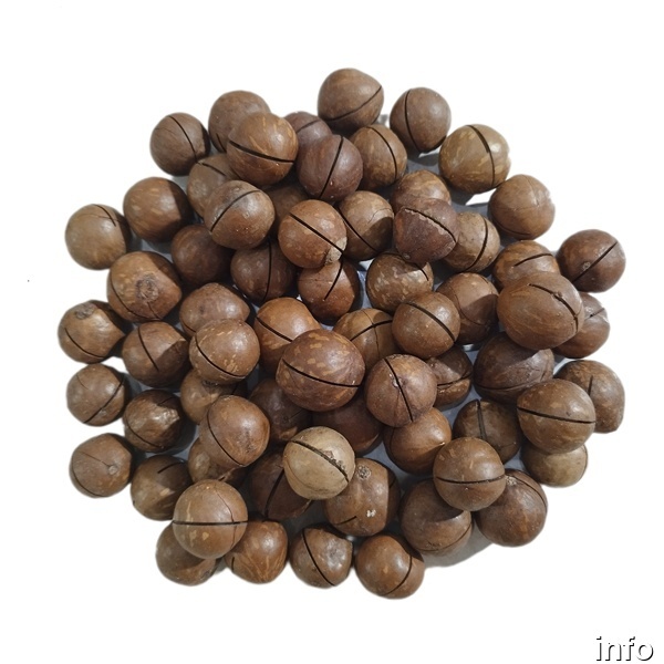 خرید فندق ماکادمیا اصفهان_3